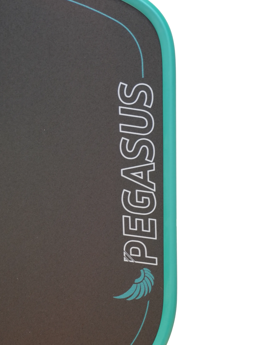11SIX24 Pegasus Power 2 - ảnh 2